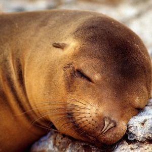 Meet your Posher, Joanna